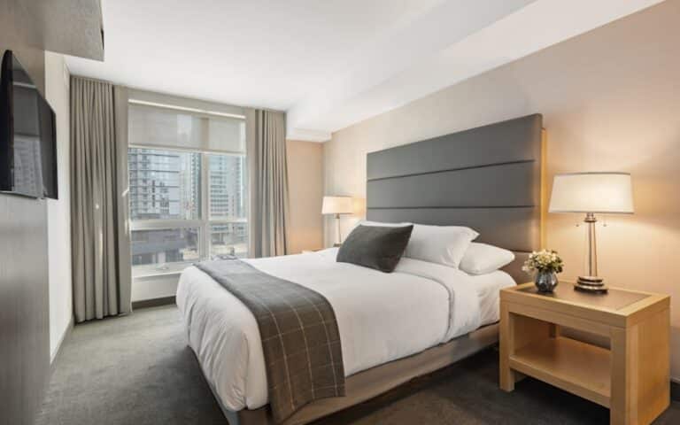 Cycle de vie des punaises de lit