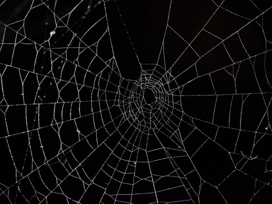 Toile d'araignée dans un coin sombre, illustration des araignées dans la maison à l'automne